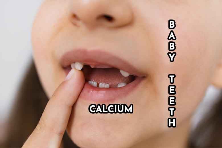 Baby Teeth Development: The Power of Calcium